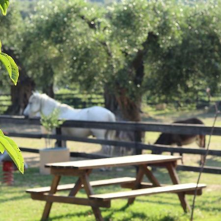 فيلا Honigtal Farmland آغيوس غيوريوس باغون المظهر الخارجي الصورة